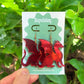 Dragon Earrings – Welsh Inspired Gothic Alt Jewellery, Acrylic Statement Earrings (Red & Green)
