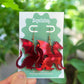 Dragon Earrings – Welsh Inspired Gothic Alt Jewellery, Acrylic Statement Earrings (Red & Green)