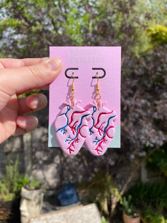 Pink, Blue & Red Anatomical Heart Realistic Organ Polymer Clay Kitsch Drop Alt Girl Whimsygoth Academic Science Earrings Gifts for Her